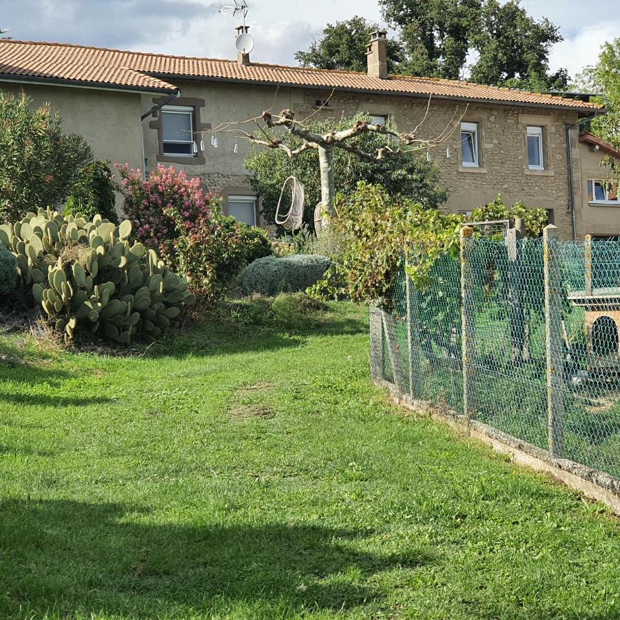 Апартаменты Figuets 3 Chateauneuf-de-Galaure Экстерьер фото